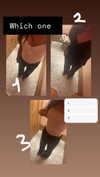 parismalek3 Altpins Profile Picture