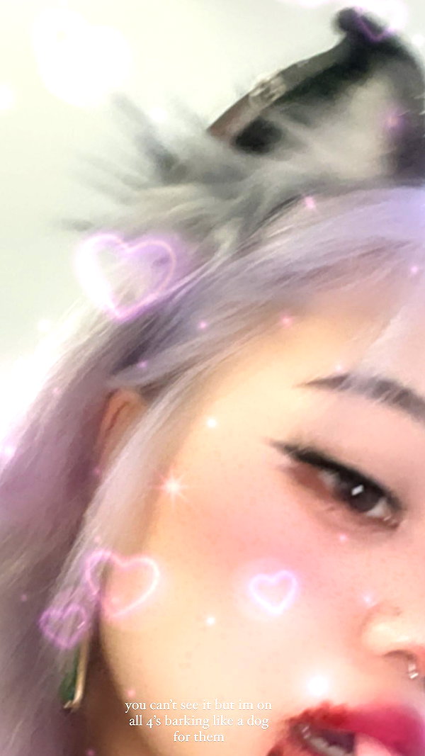 petitekitti instagram image archive image