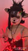 petitekitti Altpins Profile Picture