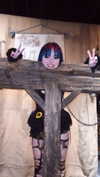 petitekitti Altpins Profile Picture