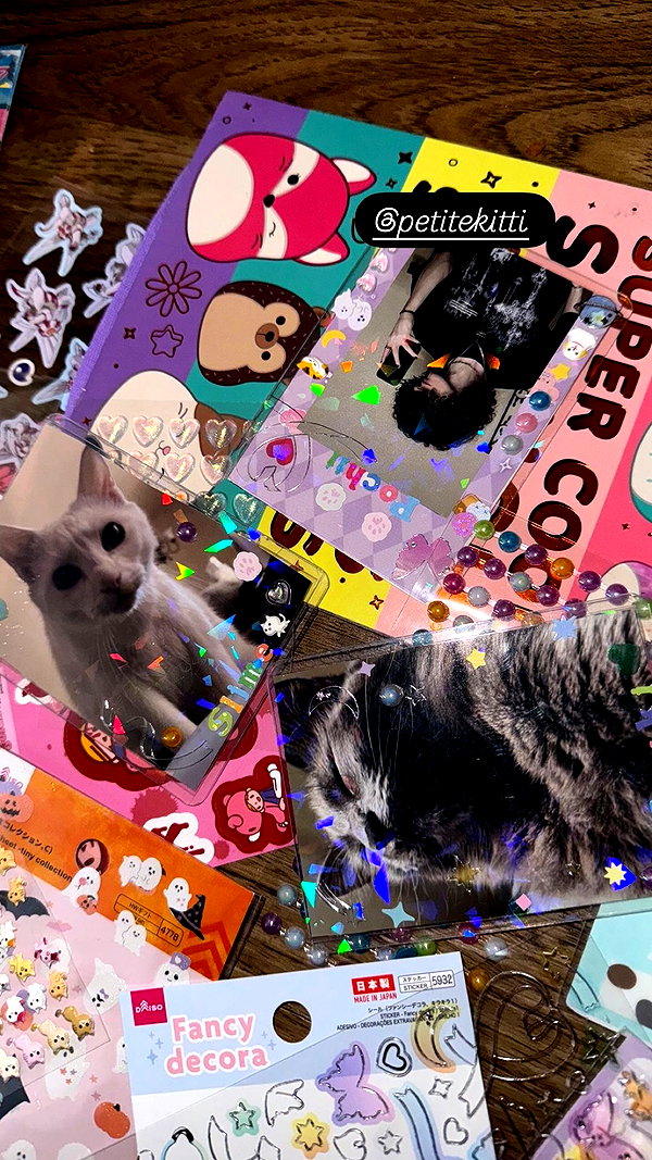 petitekitti petitekitti archive image