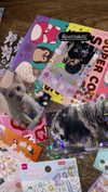 petitekitti Altpins Profile Picture