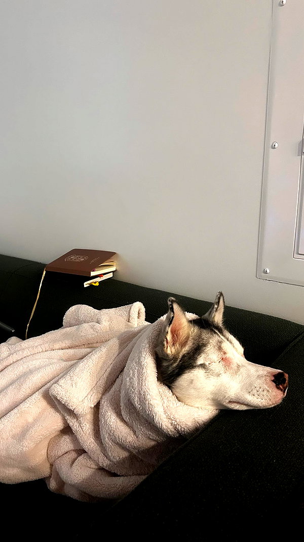 peytonjacks peytonjacks archive image