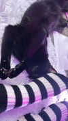 piper.foxx Altpins Profile Picture