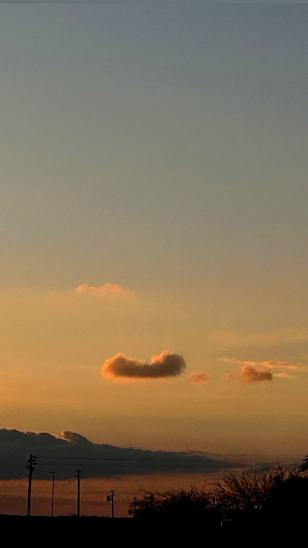 point___of___you instagram image archive image