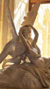protheme Altpins Profile Picture