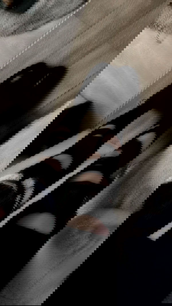 purrrik purrrik archive image