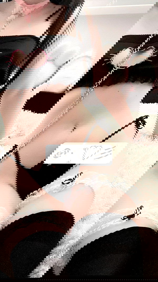 purrrik purrrik archive image