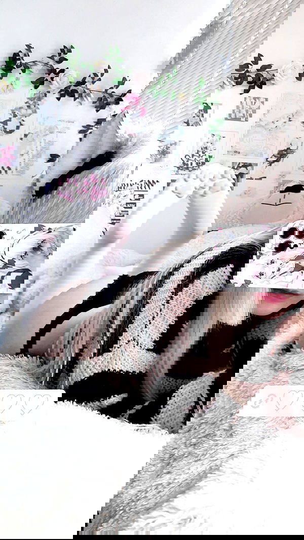 purrrik purrrik archive image