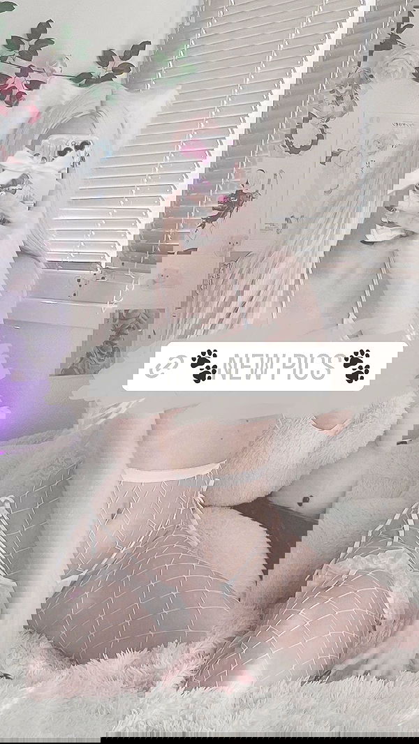 purrrik purrrik archive image