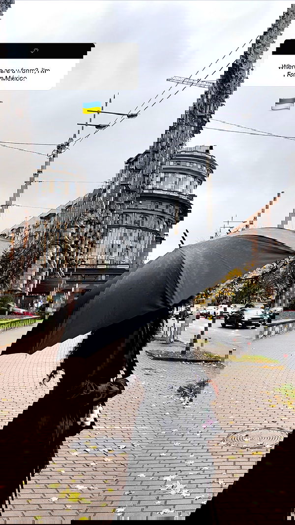 purrrik purrrik archive image