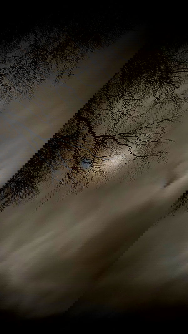 quincymood quincymood archive image