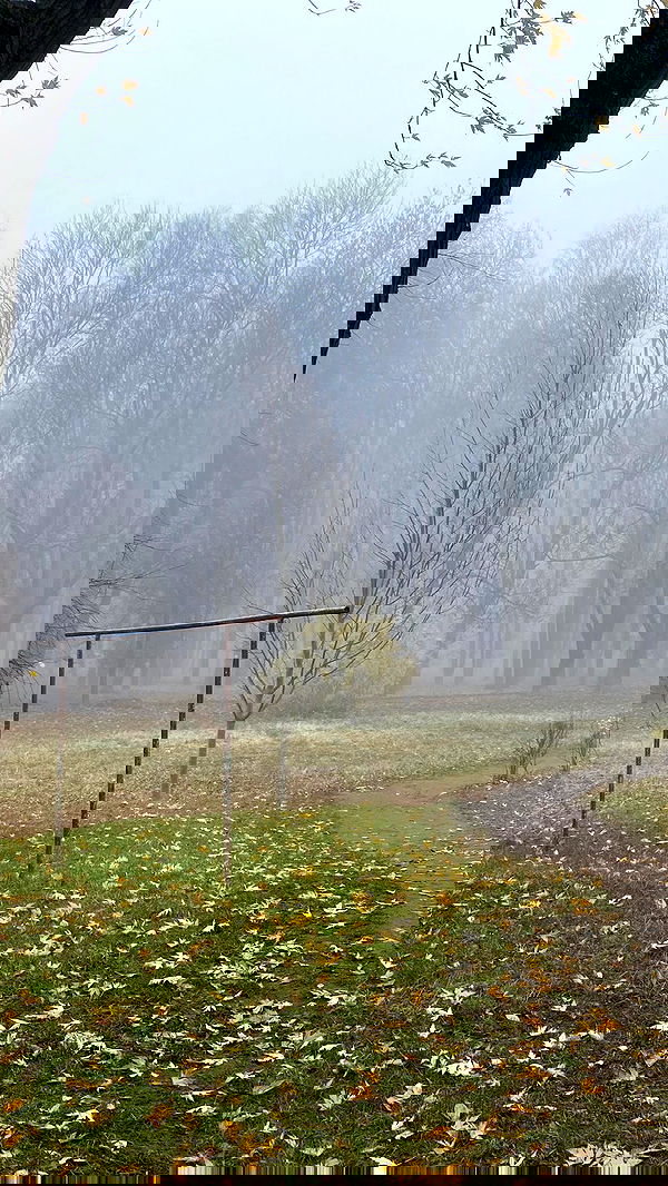 quincymood quincymood archive image