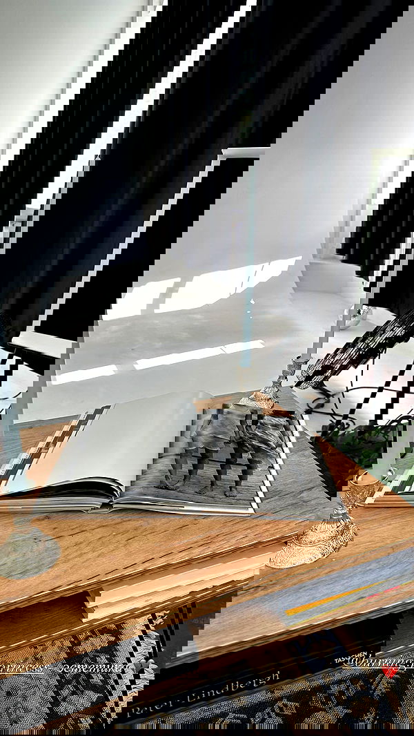 quincymood quincymood archive image