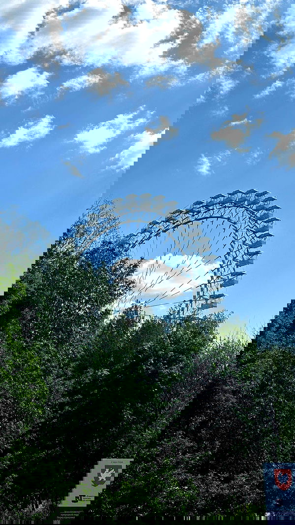 quincymood quincymood archive image