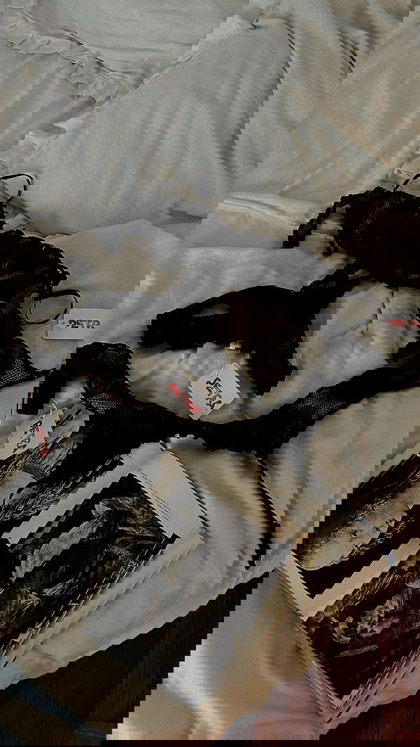 quincymood quincymood archive image