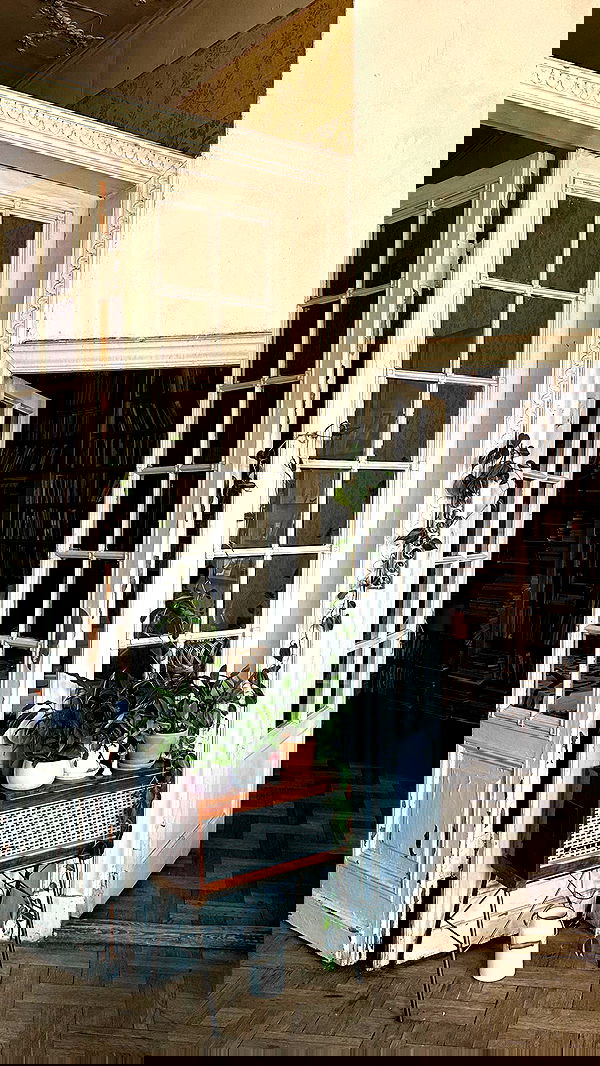 quincymood quincymood archive image