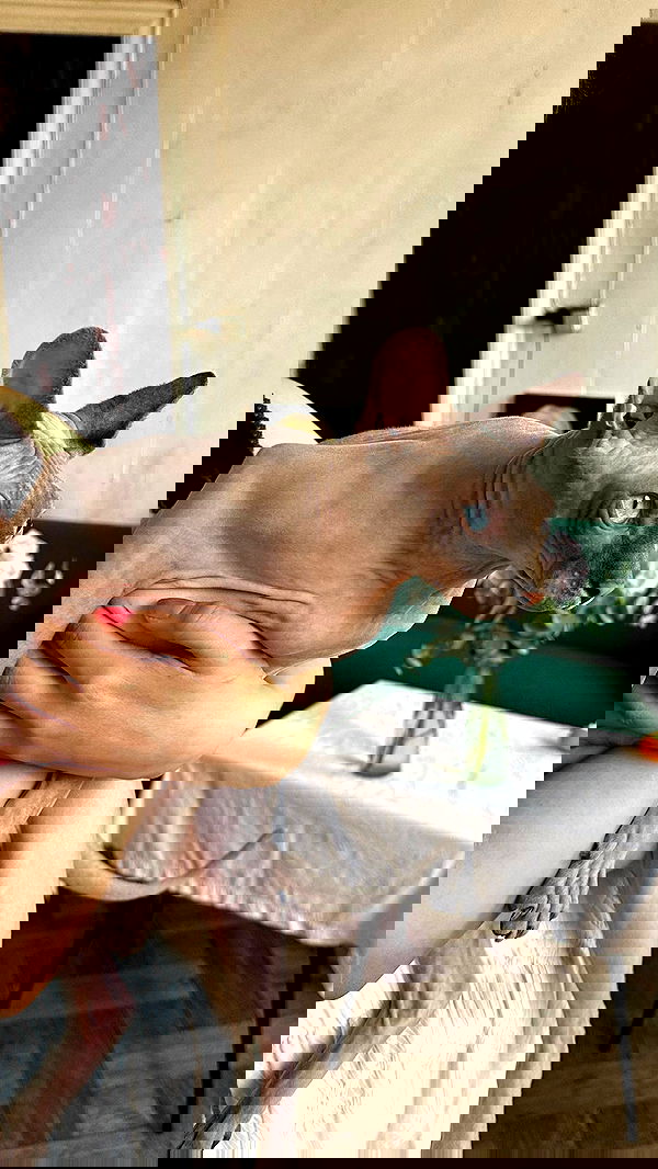 quincymood quincymood archive image