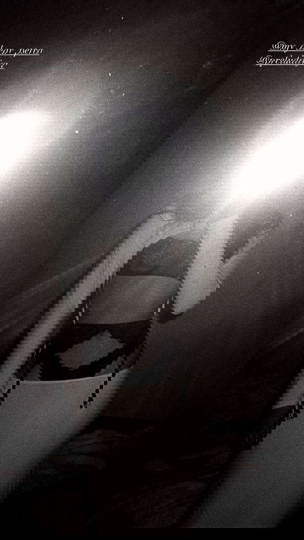 quincymood quincymood archive image