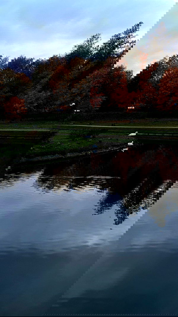 quincymood quincymood archive image