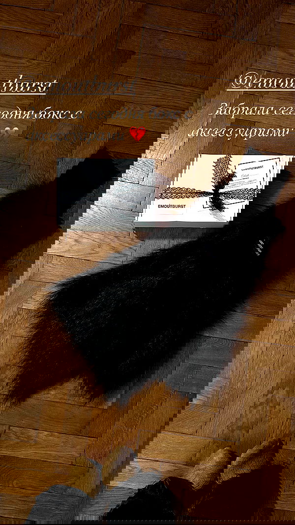 quincymood quincymood archive image