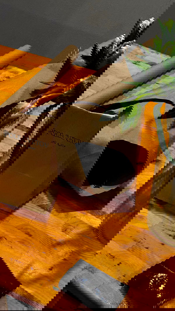 quincymood quincymood archive image