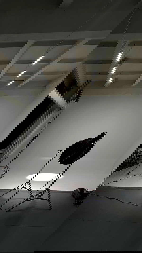 quincymood quincymood archive image