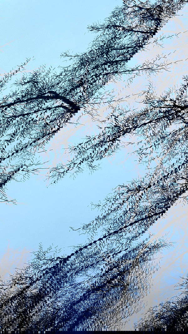 quincymood quincymood archive image