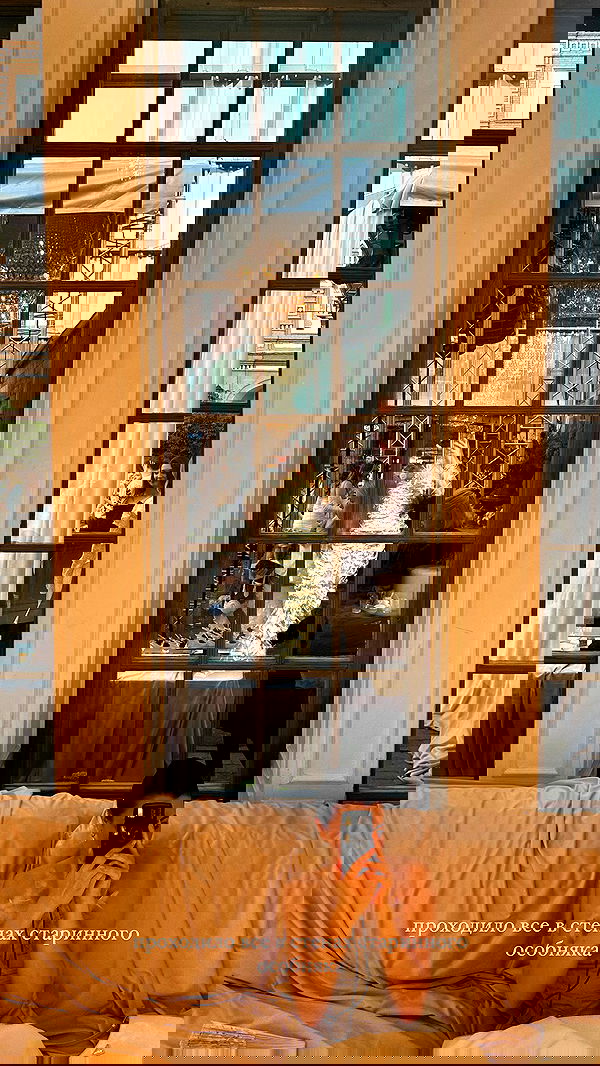 quincymood quincymood archive image