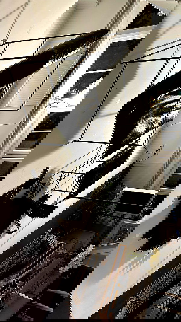 quincymood quincymood archive image