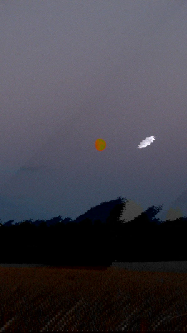 quincymood quincymood archive image