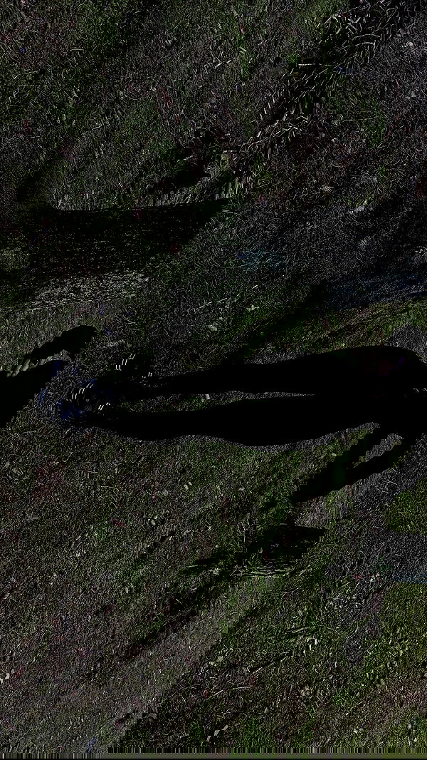 quincymood quincymood archive image