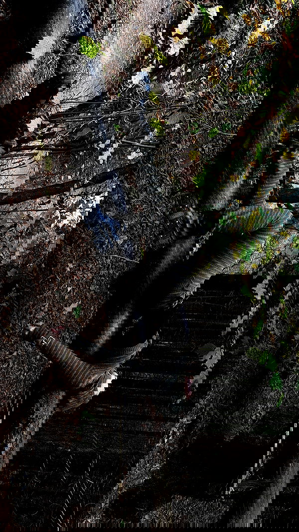 quincymood quincymood archive image