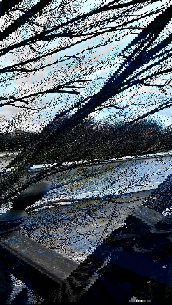 quincymood quincymood archive image