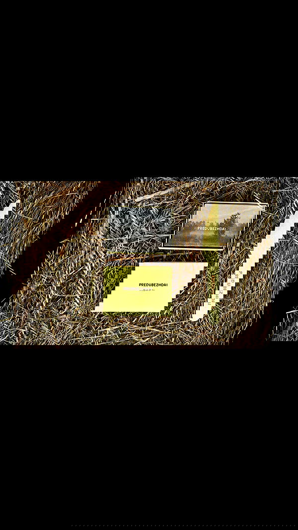 quincymood quincymood archive image