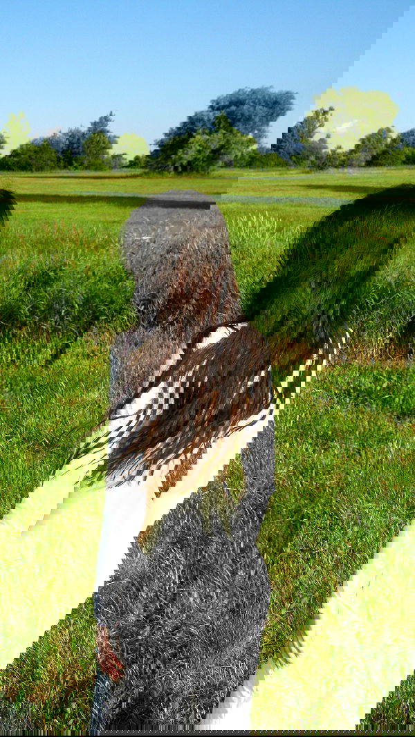 quincymood quincymood archive image