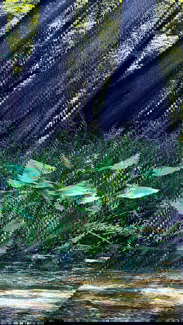 rachelc00k rachelc00k archive image