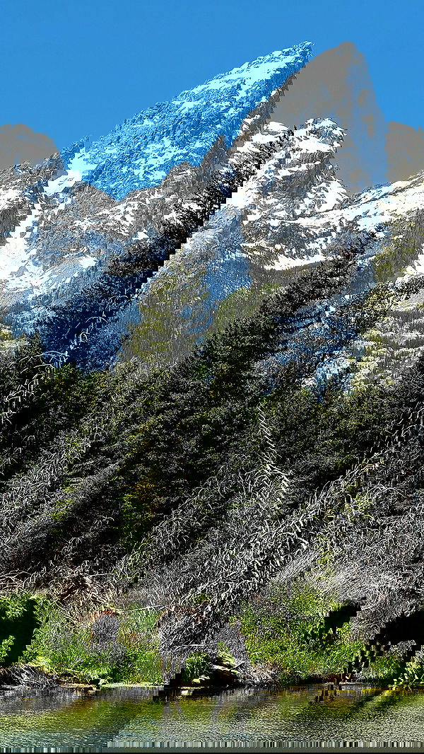 rachelc00k rachelc00k archive image