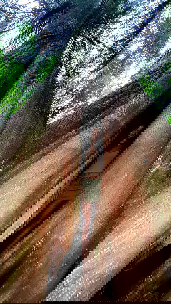 rachelc00k rachelc00k archive image