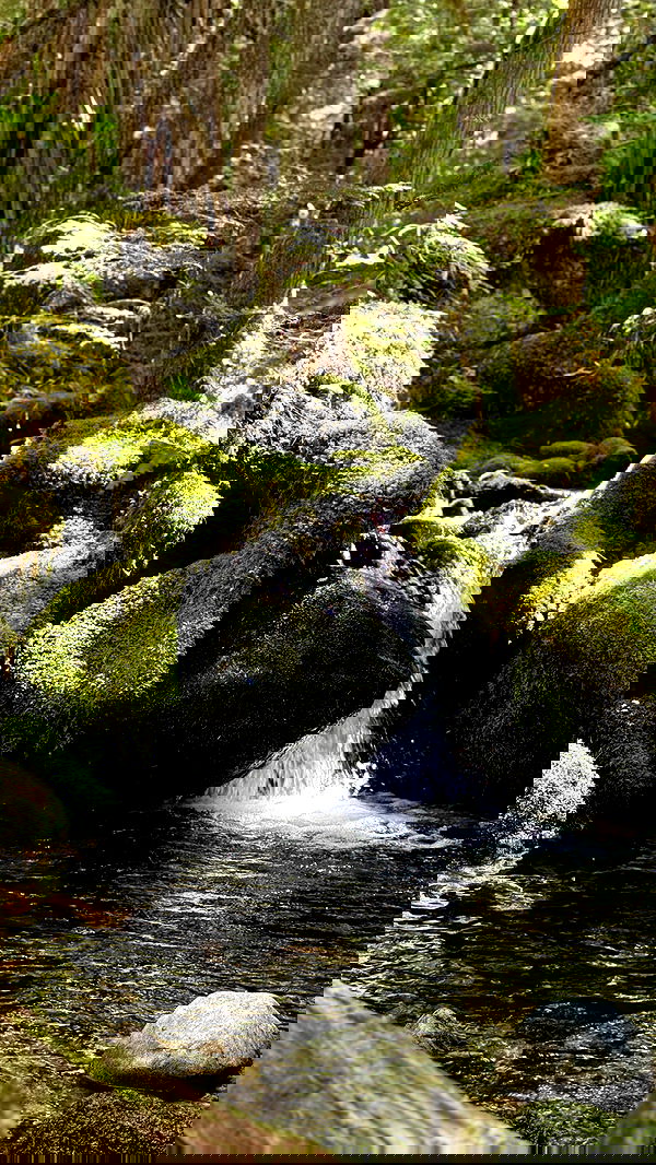 rachelc00k rachelc00k archive image