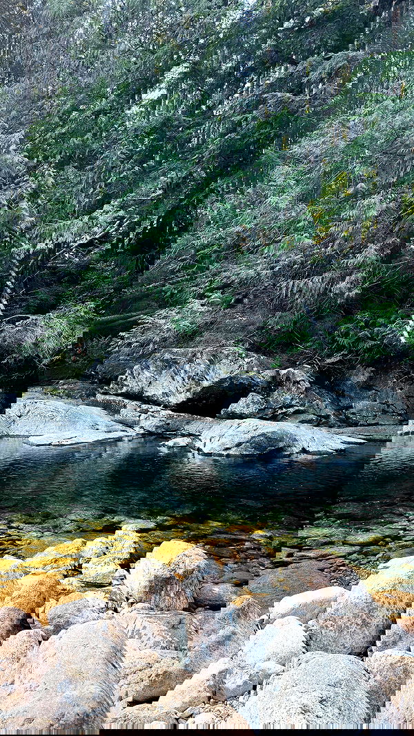 rachelc00k rachelc00k archive image