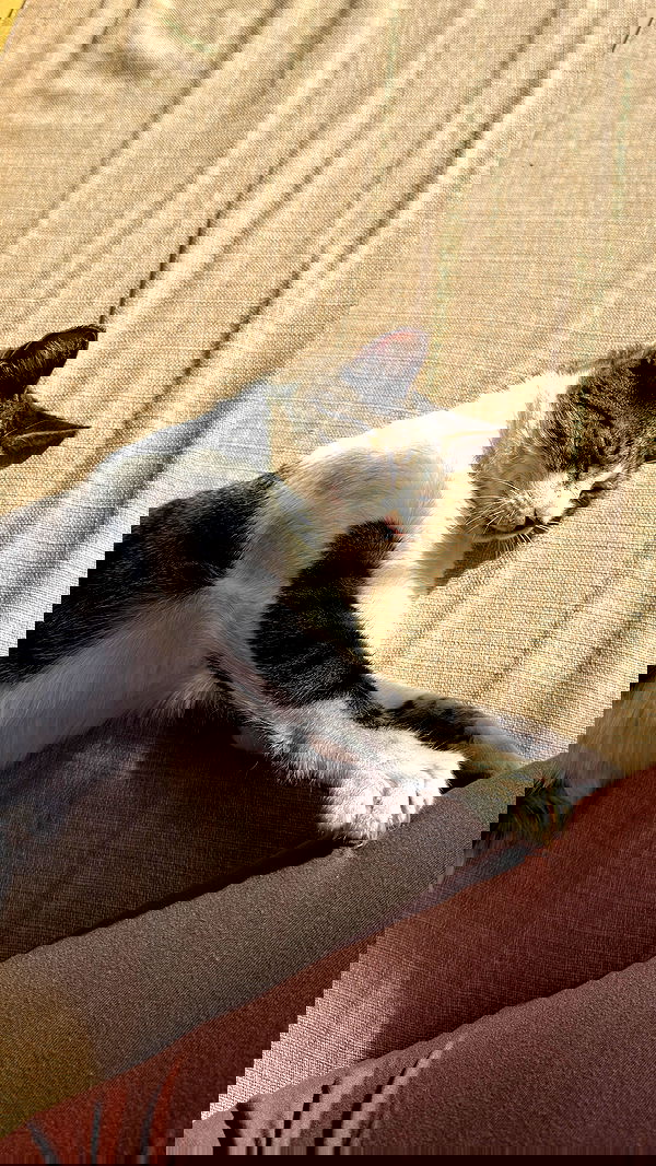 rachelc00k rachelc00k archive image