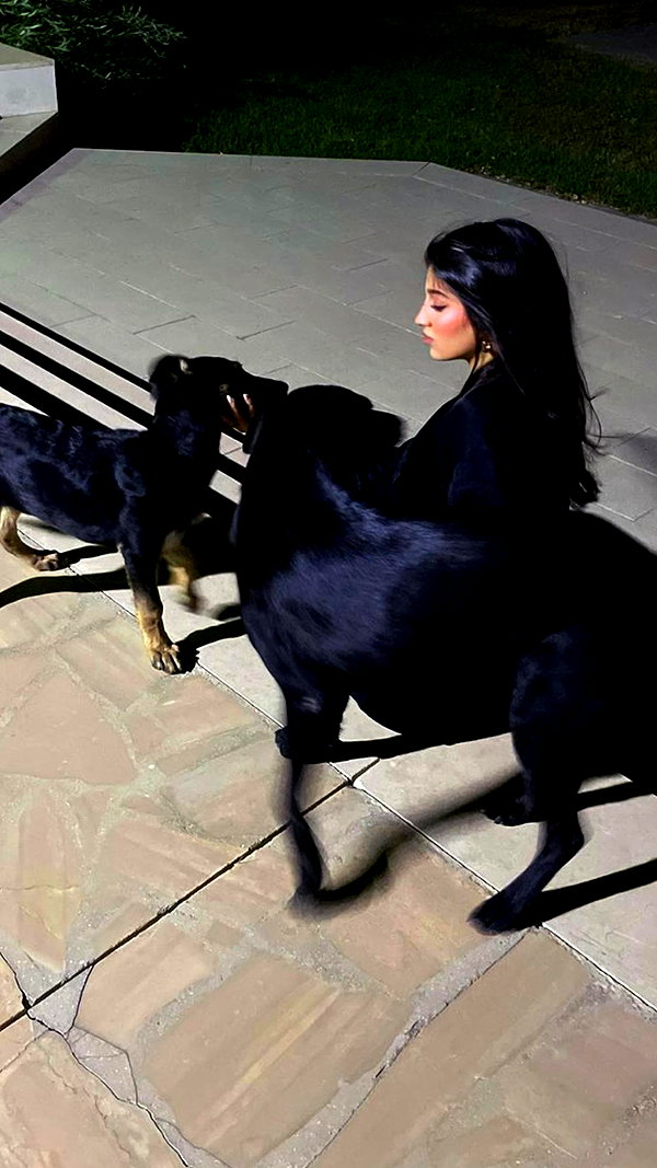 rashan.mh rashan.mh archive image