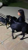 rashan.mh Altpins Profile Picture