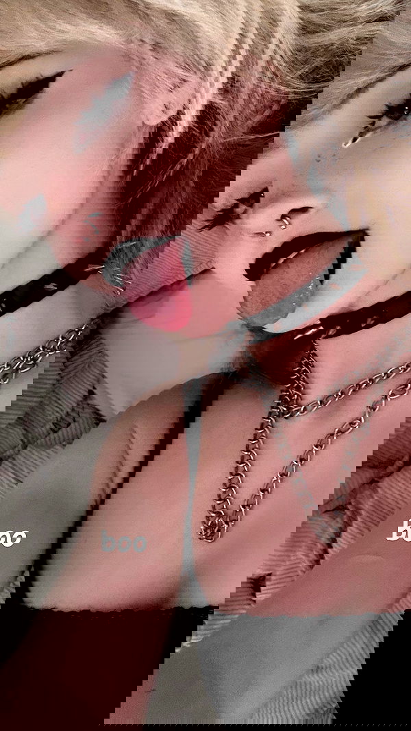 ratskeleton ratskeleton archive image