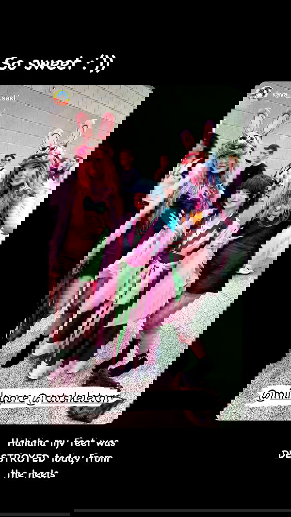 ratskeleton ratskeleton archive image