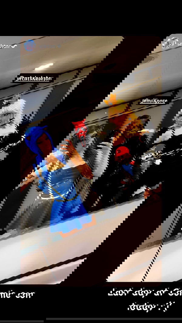 ratskeleton ratskeleton archive image