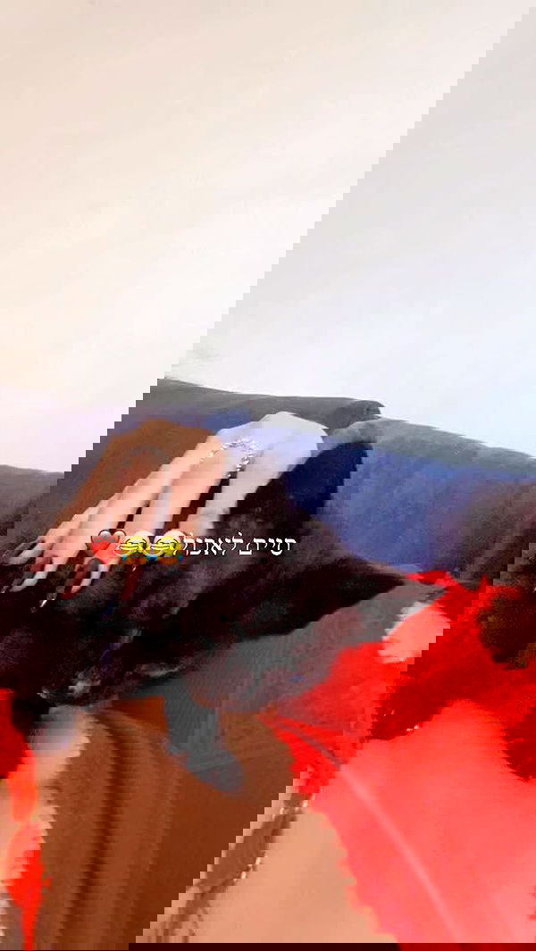 rebecka_tsadok rebecka_tsadok archive image