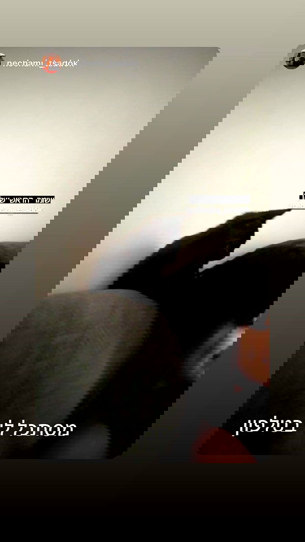 rebecka_tsadok rebecka_tsadok archive image