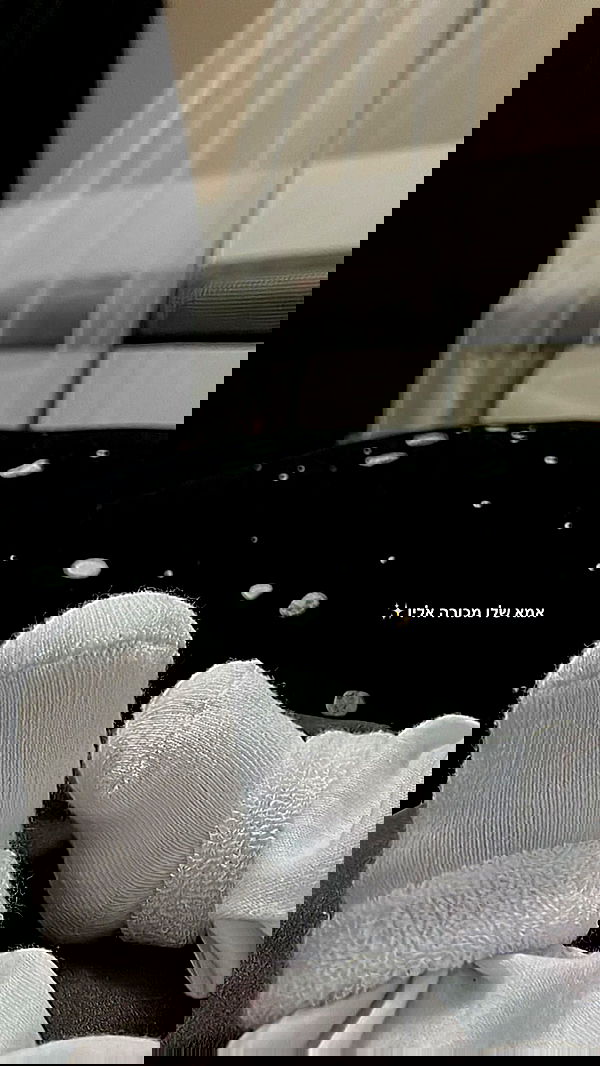 rebecka_tsadok rebecka_tsadok archive image